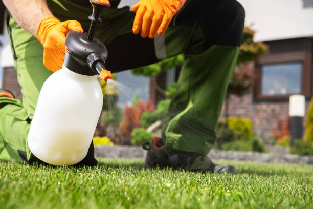 Reliable Prospect Park, PA Pest Control Solutions